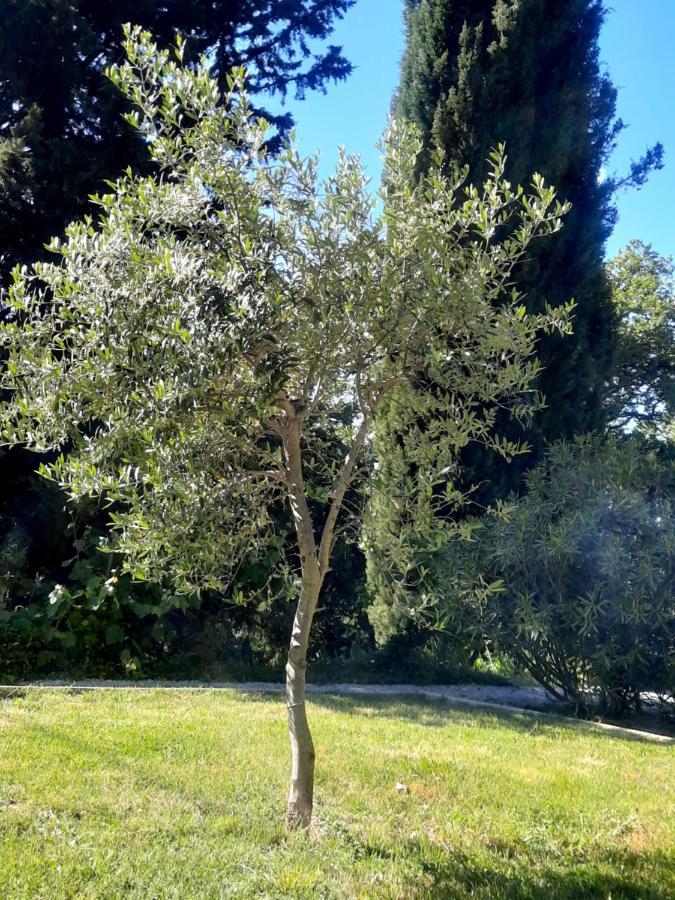 Le Gite Calluna Sablet Exteriör bild