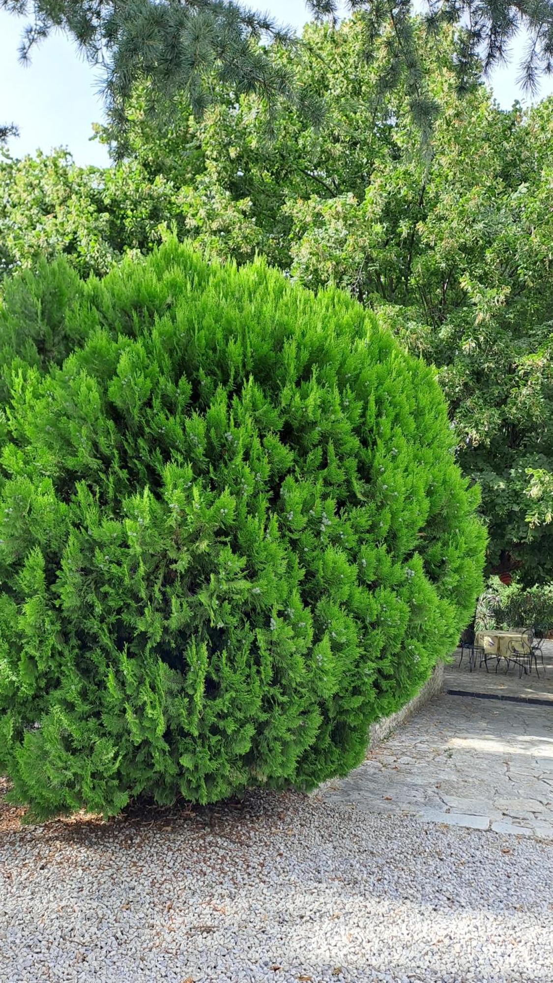 Le Gite Calluna Sablet Exteriör bild