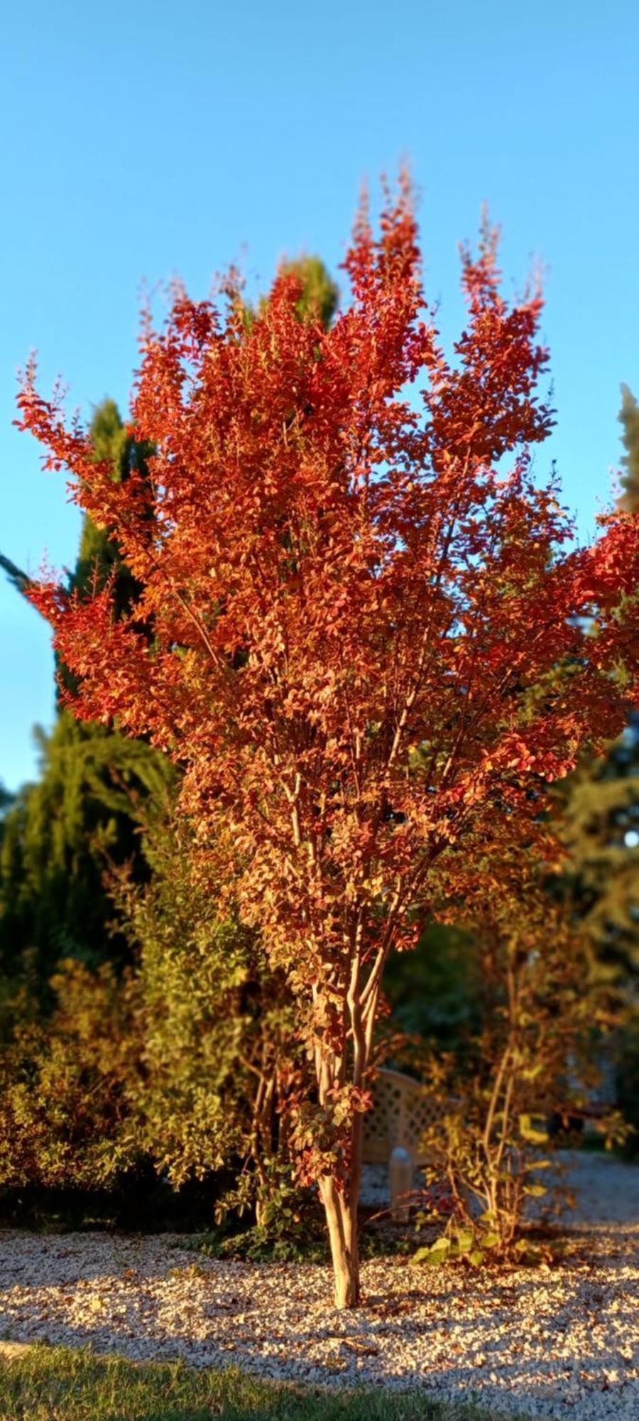 Le Gite Calluna Sablet Rum bild